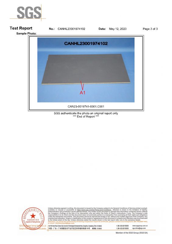 2023SGSOG视讯家居检测汇报英文版